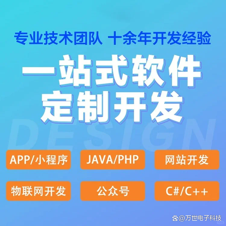 大同软件开发